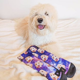 PetPartyCo  Customized Dog Socks