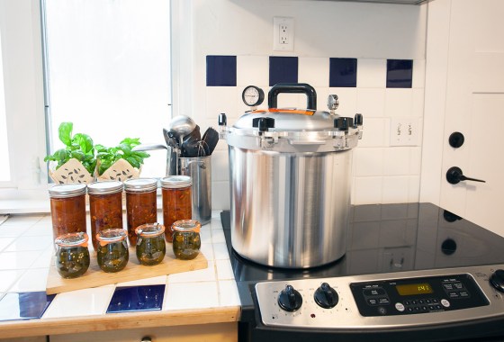 Best Pressure Canners