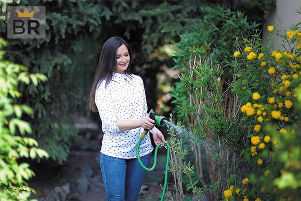 top-rated garden hoses