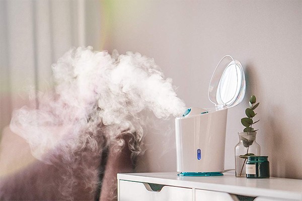home facial steamer