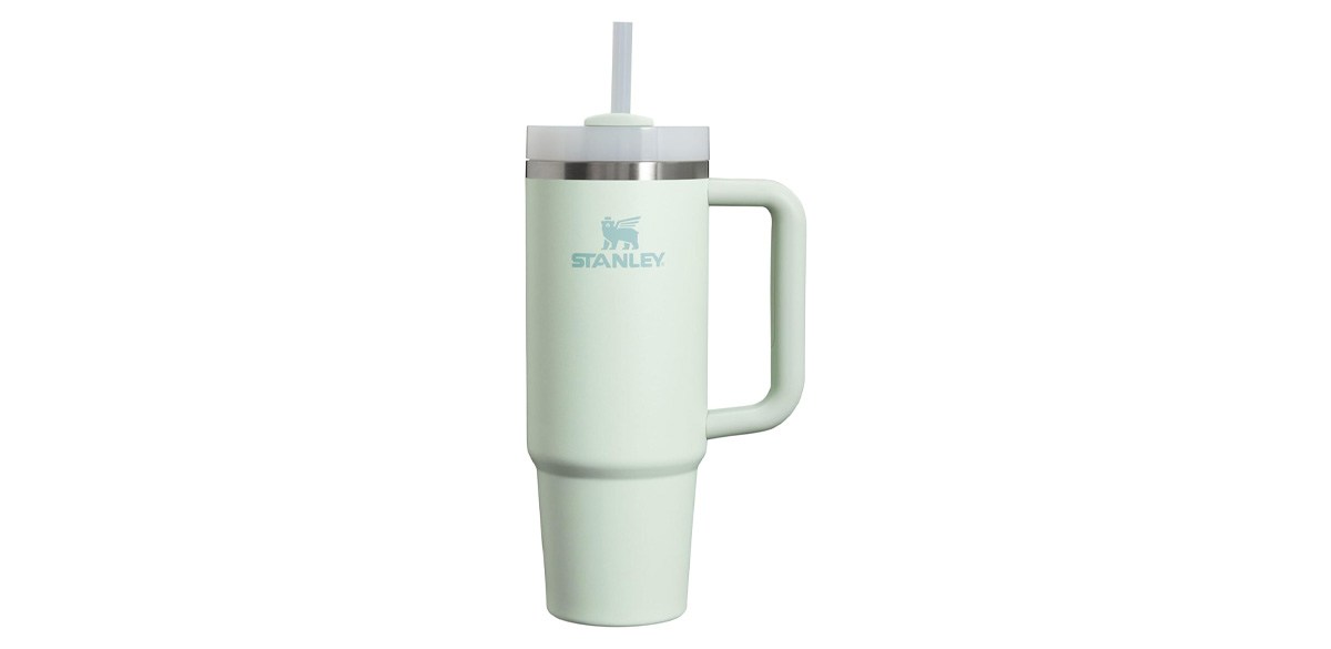 Stanley Quencher H2.0 Tumbler with Handle and Straw 30 oz in Mist Stanley Quencher H2.0 Tumbler with Handle and Straw 30 oz in Mist