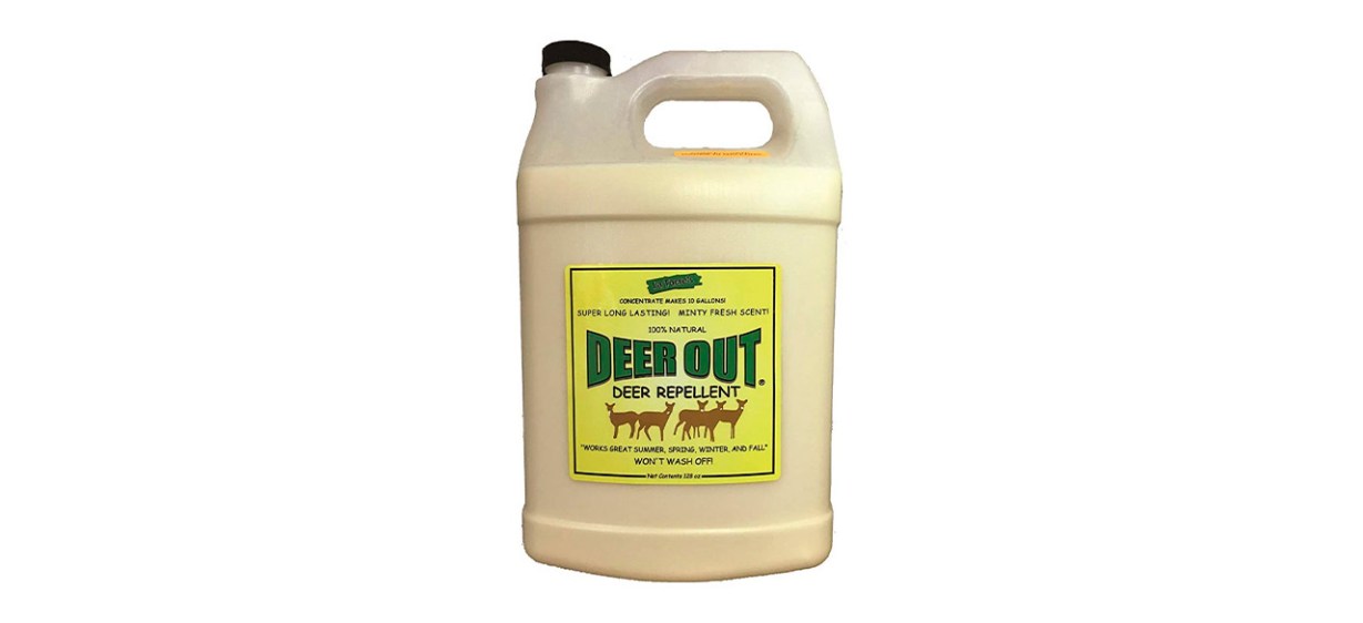 Best Deer Out - 1 Gallon Concentrate Deer Repellent