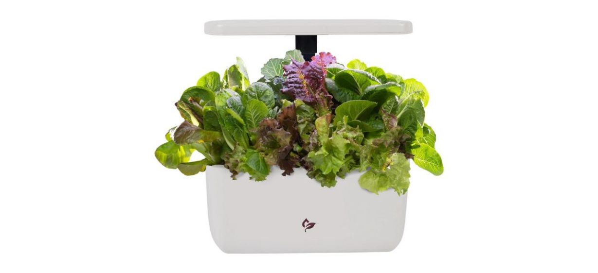 AeroGarden Harvest 2.0 Indoor Garden Hydroponic System AeroGarden Harvest 2.0 Indoor Garden Hydroponic System