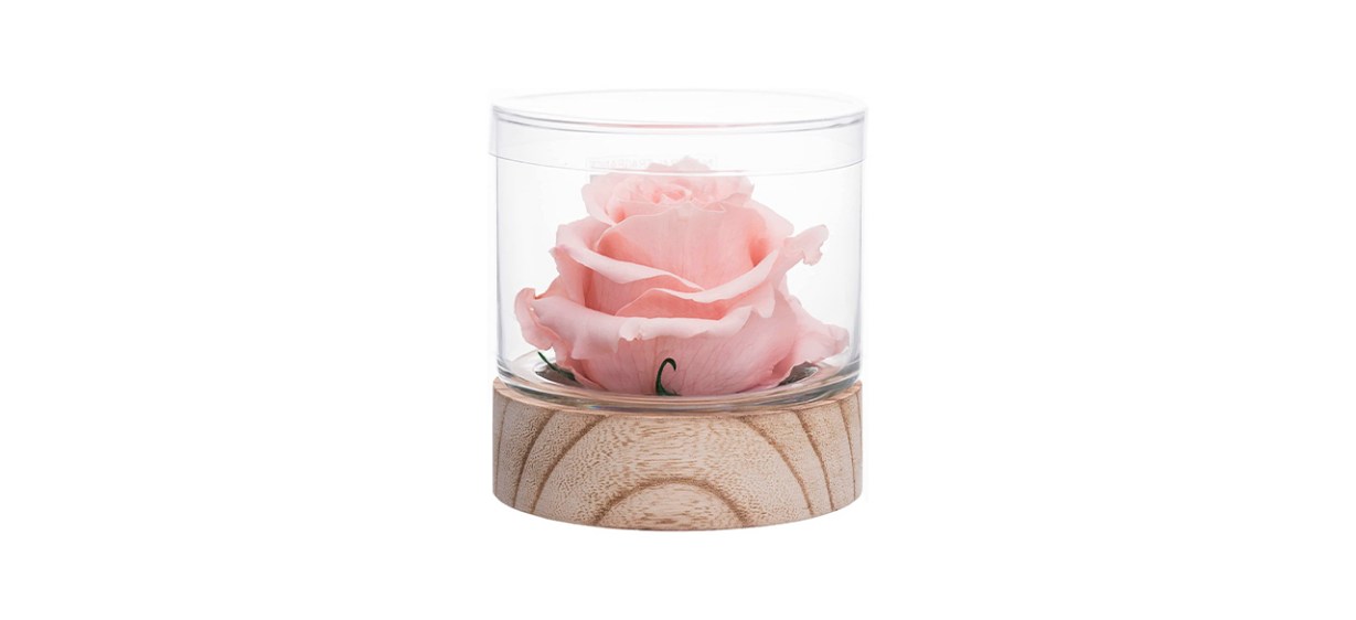 Best Natural Fragrance Rose Hydrated Flower Best Natural Fragrance Rose Hydrated Flower