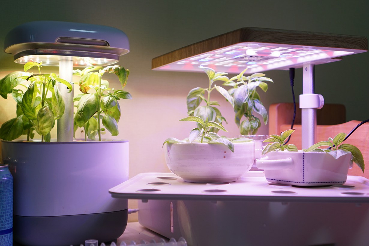 indoor garden kits