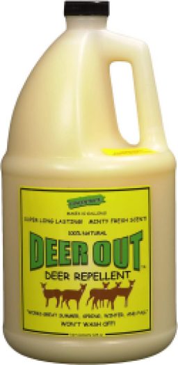 Deer Out