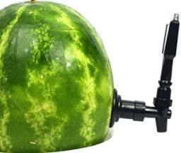 KeggerMelon
