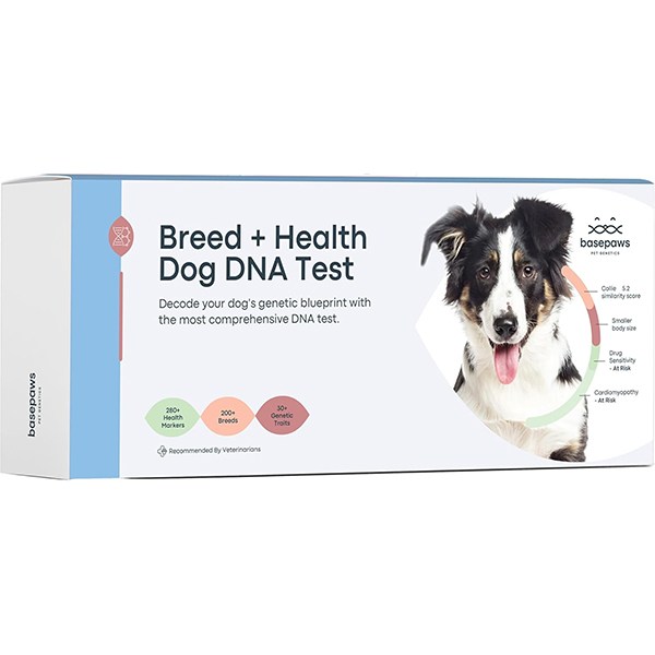 Basepaws Breed &amp; Health Dog DNA Test