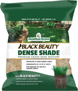 Jonathan Green Black Beauty Dense Shade Grass Seed