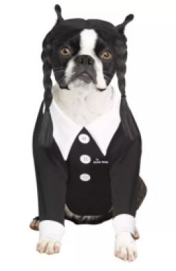 Spirit Halloween