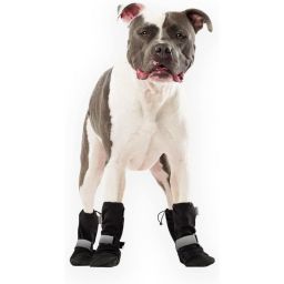 Canada Pooch