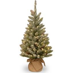 National Tree Company