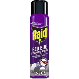 Raid