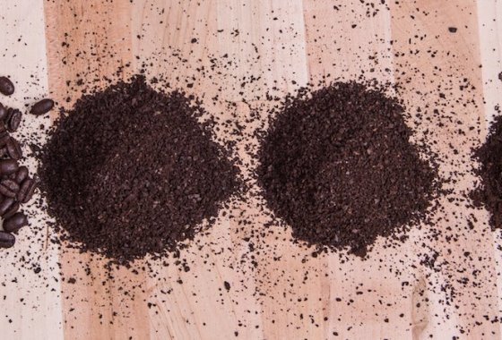 Best Burr Grinders