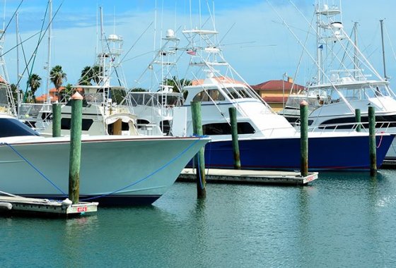 Best Rubber Dock Bumpers