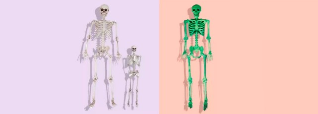 Best Oversized Skeletons