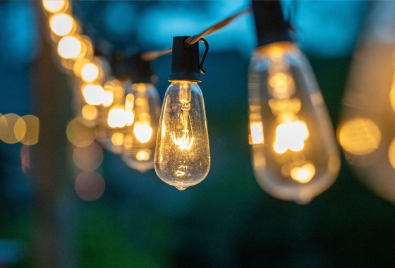 Best Permanent Outdoor Lights