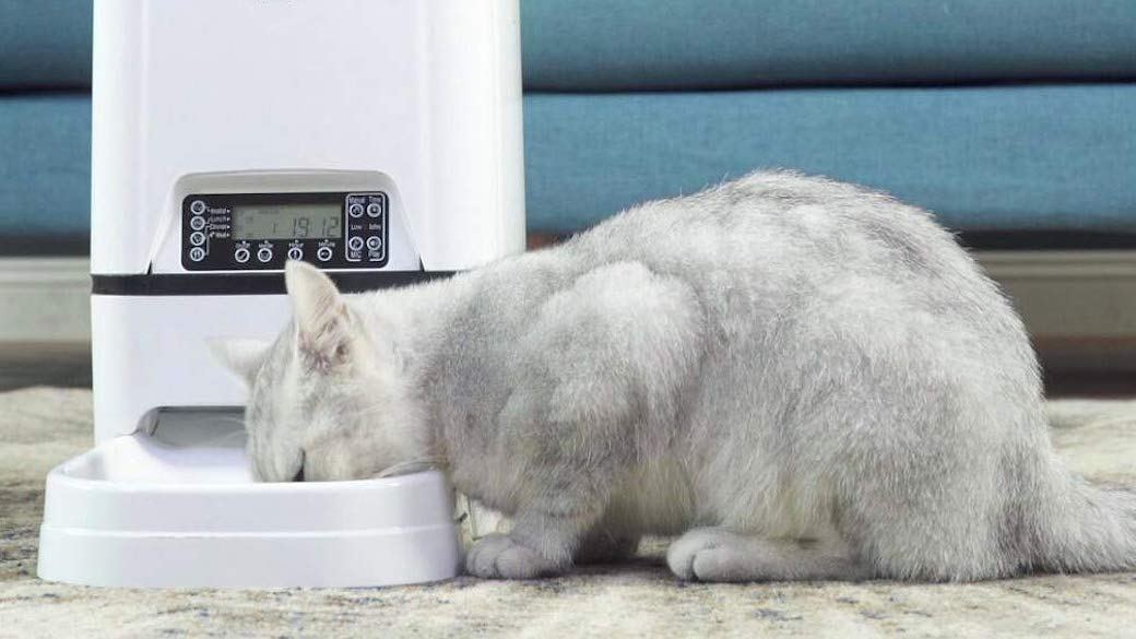 Content Image