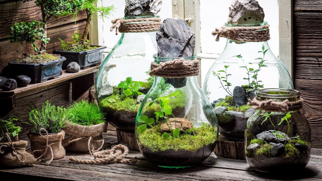 Content Image