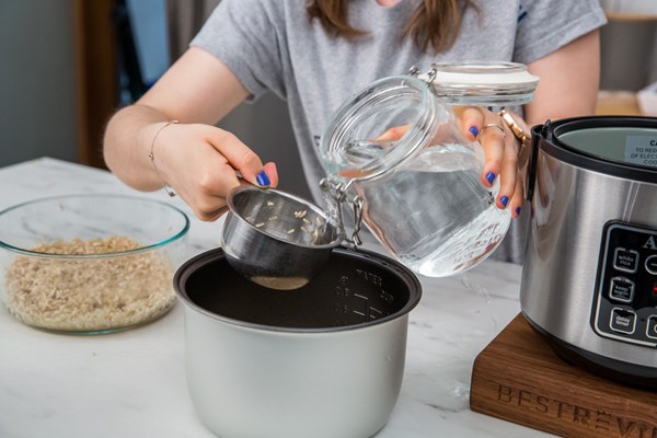 how do rice cookers work?