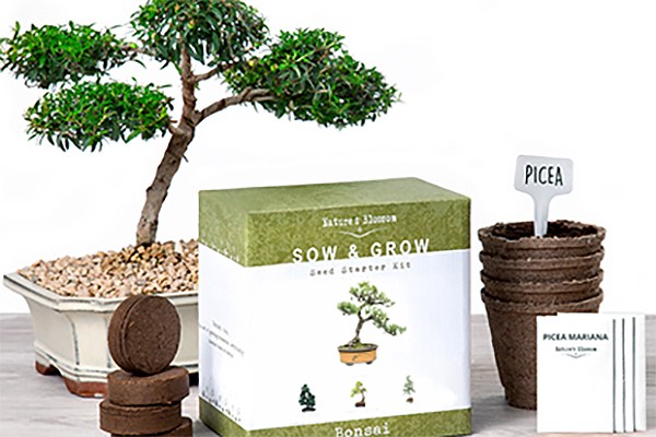 Bonsai Starter Kits