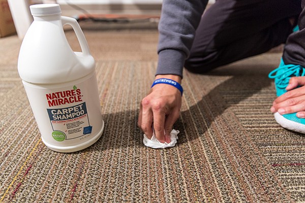 solutions carpet cleaning