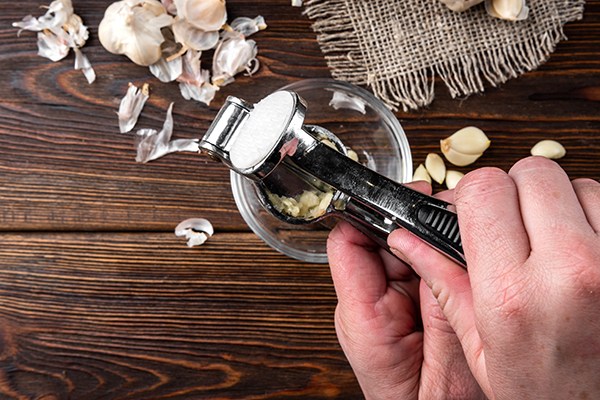 Stainless Steel Garlic Press