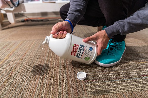 top carpet cleaning solutions
