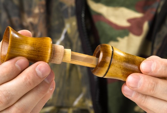 Best cow elk call