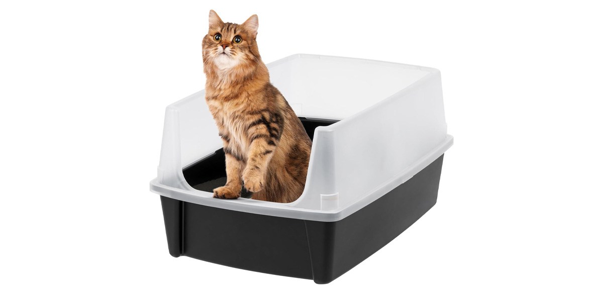 IRIS USA XX-Large Cat Litter Box, Open Top Extra Large Litter Box