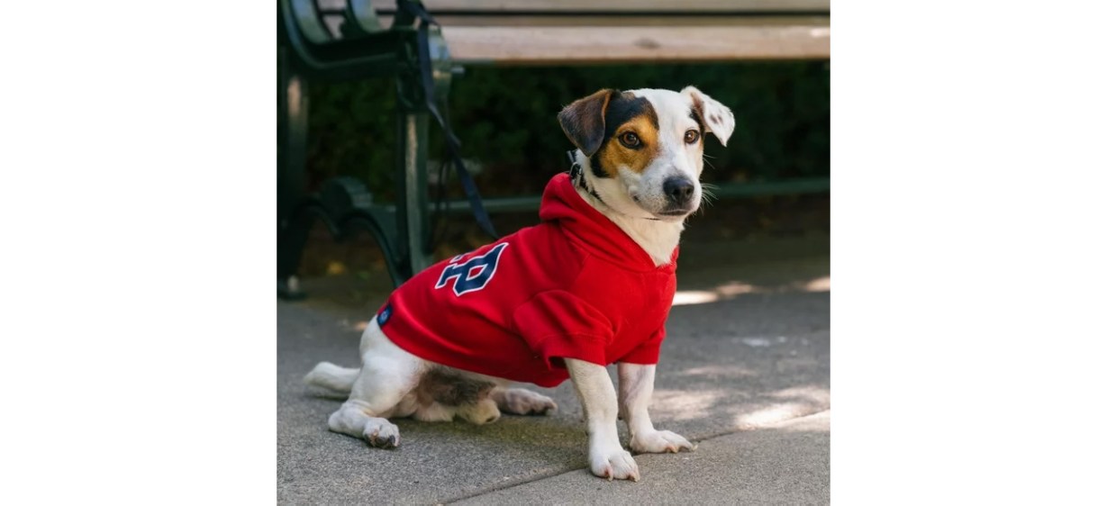 Dog wearing Red Classic Pet Hoodie