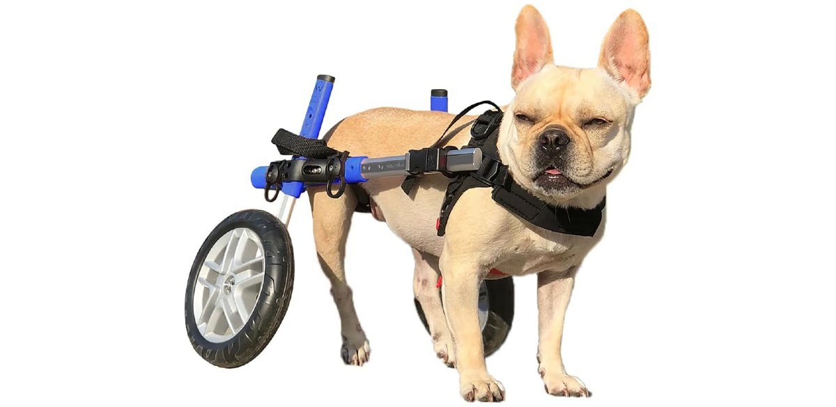 Walkin' Wheels Small Dog Wheelchair