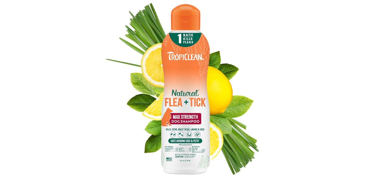 TropicClean Max Strength Flea and Tick Shampoo