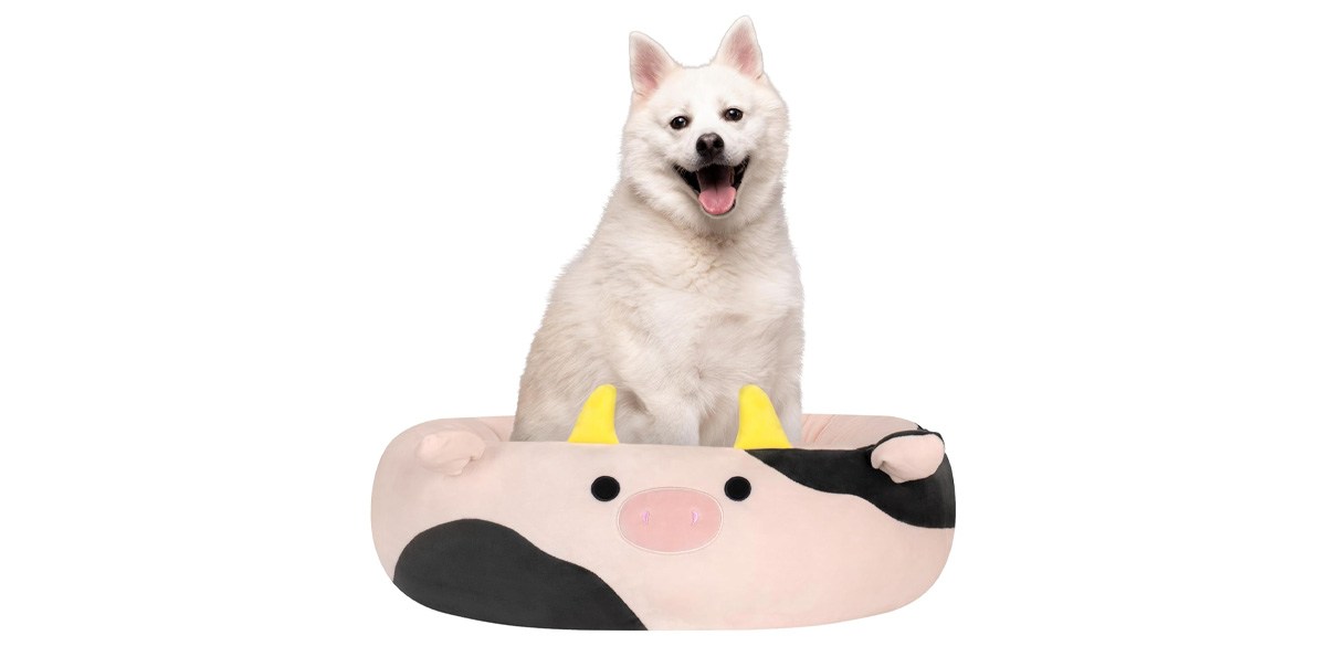 Squishmallows Original 30-Inch Connor The Cow Pet Bed - Large Ultrasoft Official Jazwares Plush Pet Bed