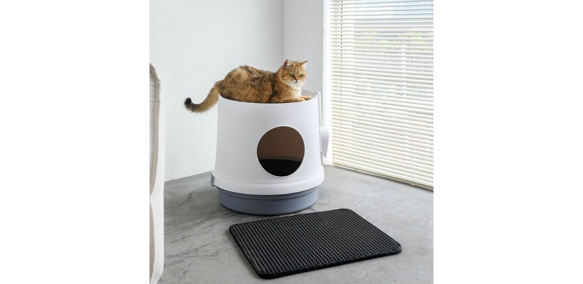 Hanamya Cat Litter Box with Scoop &amp; Scratcher &amp; Litter Mat