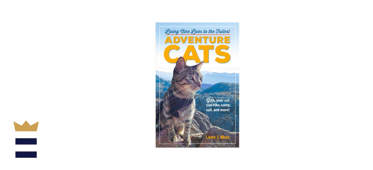 Adventure Cats: Living Nine Lives to the Fullest