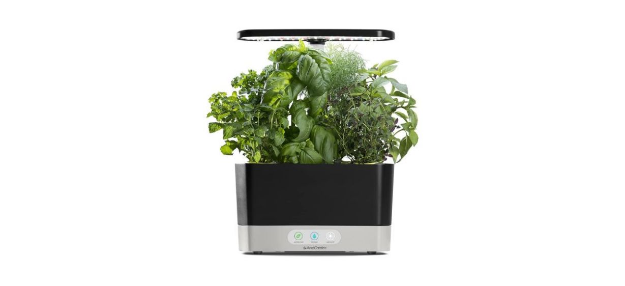 AeroGarden Harvest Indoor Hydroponic Garden on white background