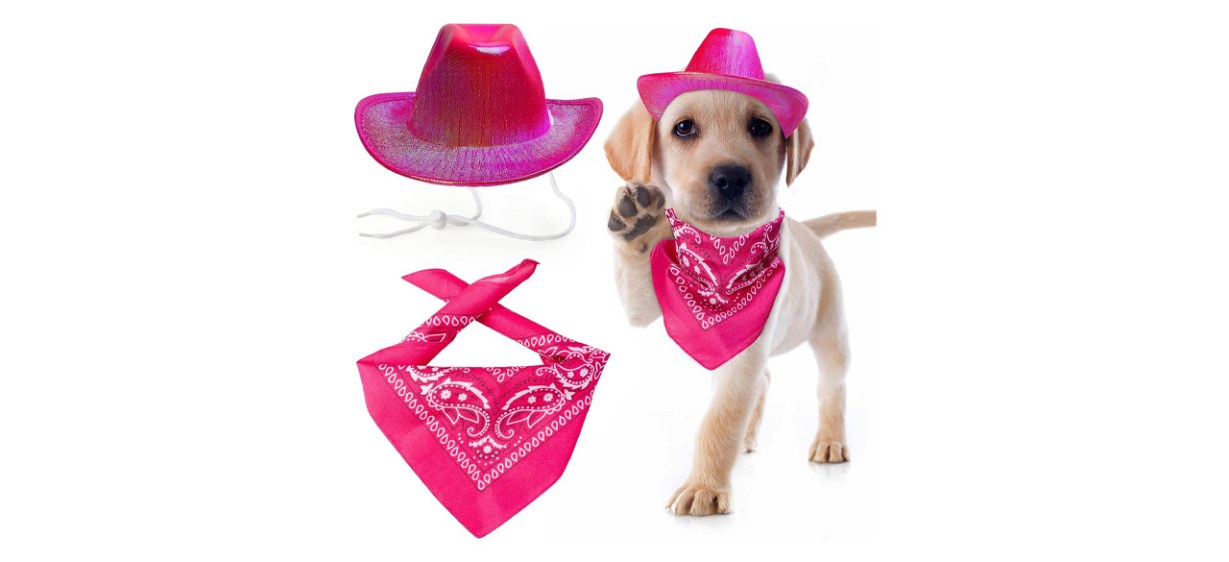 Best Yewong Pet Metallic Hat and Bandana