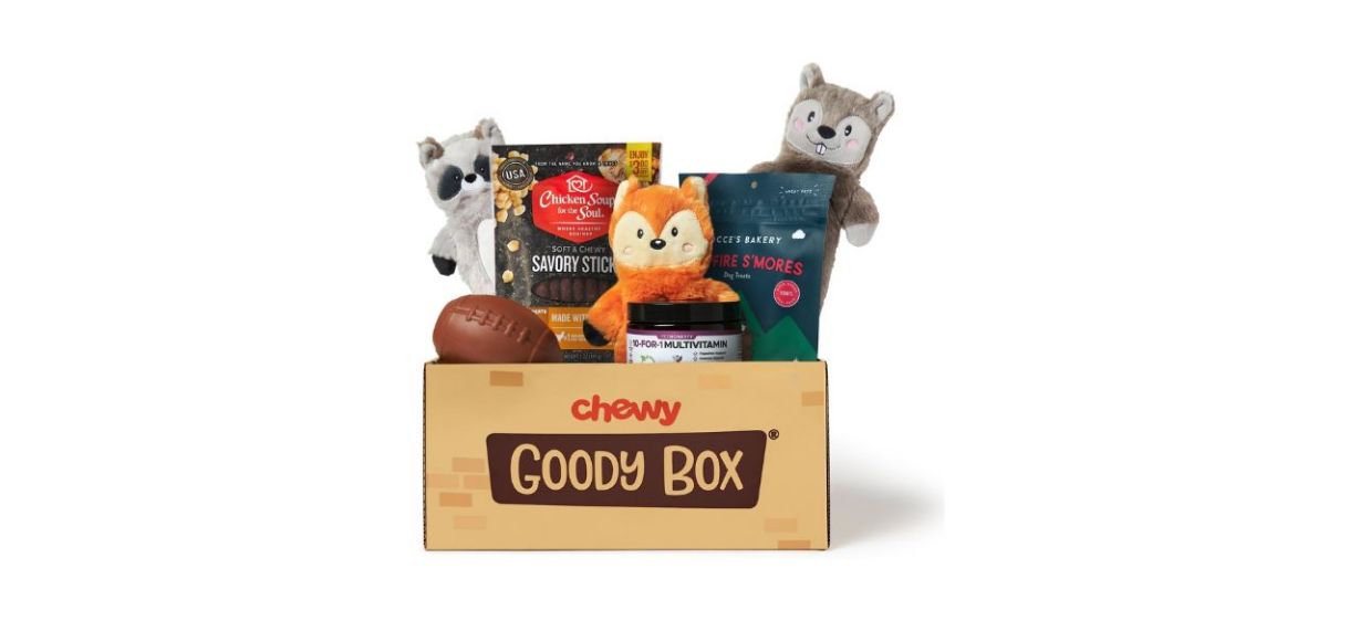 Best Chewy Goody Box Adventure Toys and Treats For Dogs