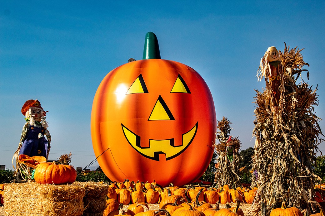 Thanksgiving scene with inflatable pumpkin