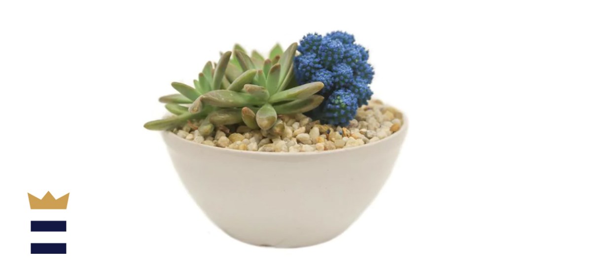 Blue Desert Gems Garden Gloss Ceramic Bowl