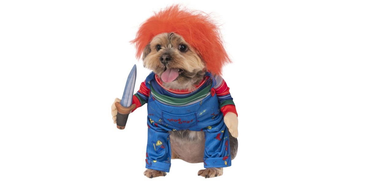 Rubie's Costume Company Chucky Walking Dog &amp; Cat Costume