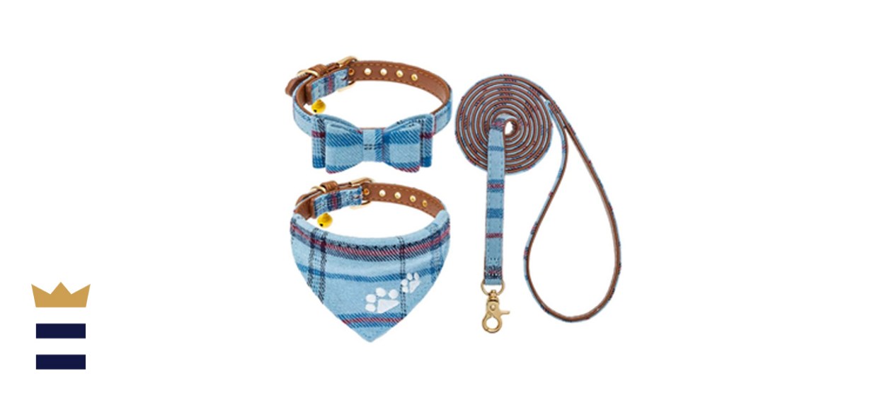 EXPAWLORER Dog Leash and Collar Set