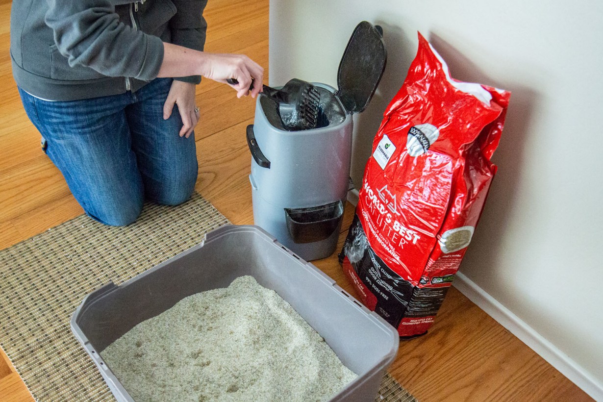 flushable cat litters