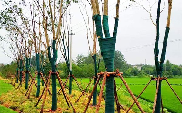 I1  