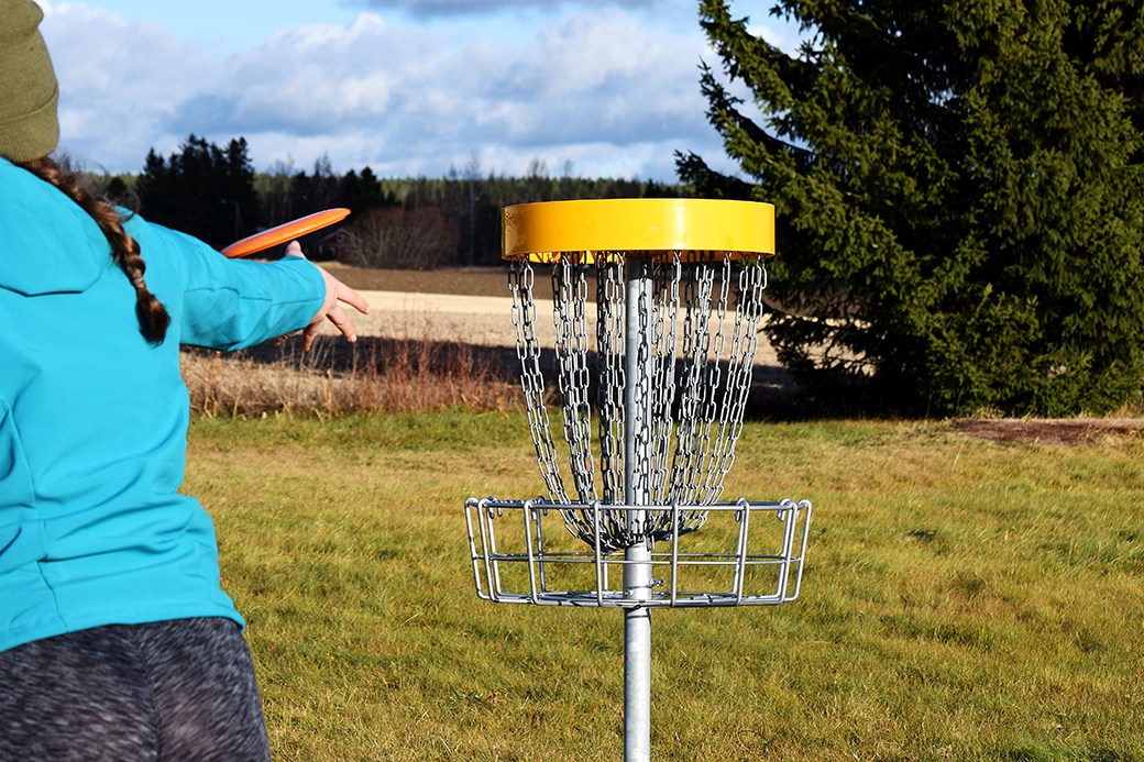 Best Disc Golf Drivers