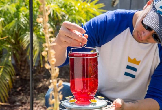 Is Kaytee wild bird food worth it?