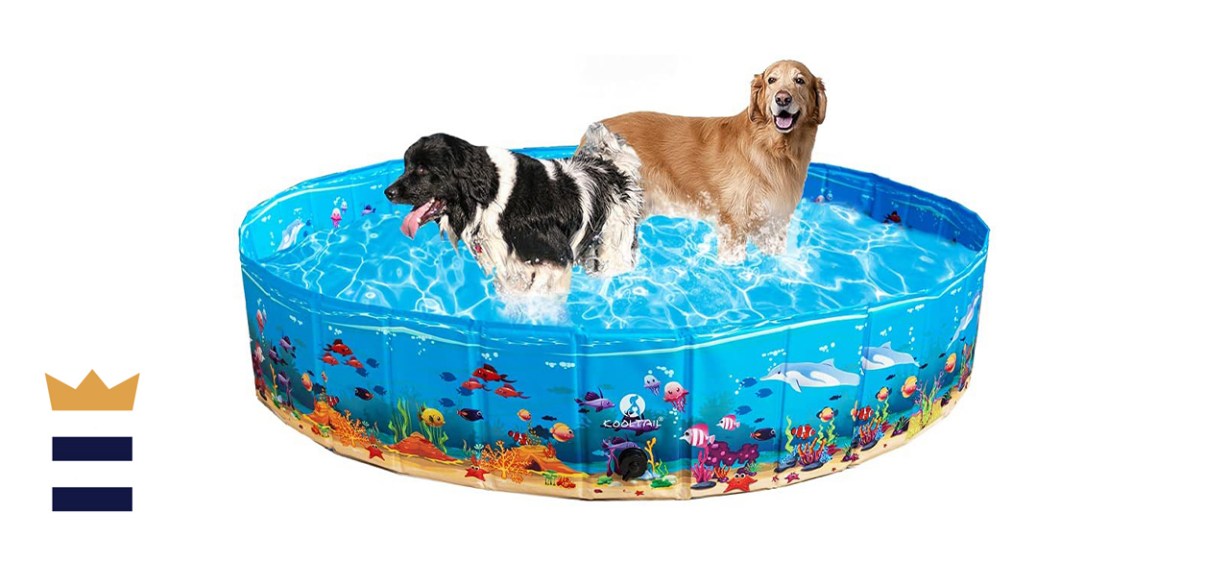 Kooltail Foldable Dog Swimming Pool