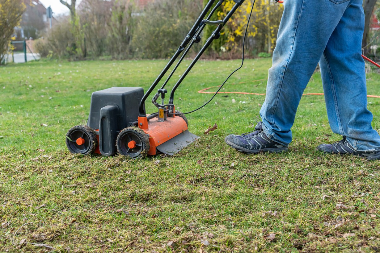 lawn dethatcher