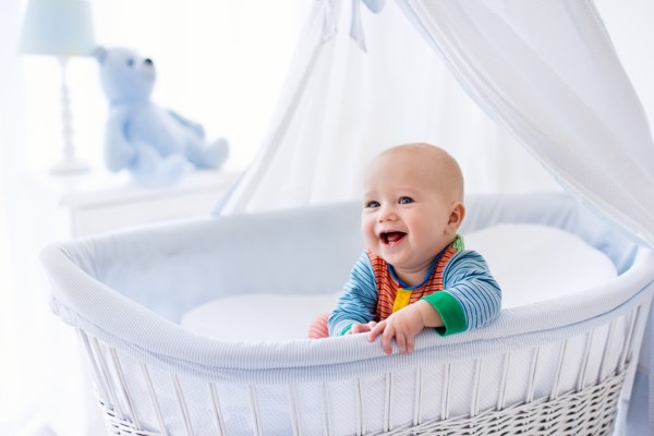 moses basket1